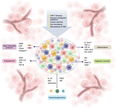 Advances in targeting tumor microenvironment for immunotherapy